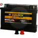 Zapple Golden Plus Car Battery - DIN75LMF 12V75AH - Car